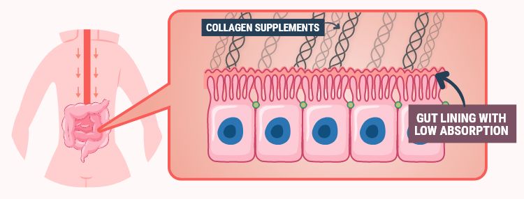 collagen-supplements-mobile