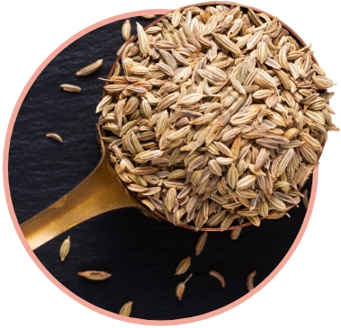 Fennel-Seed-Extract